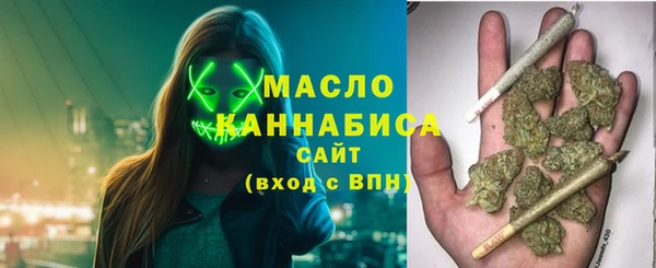 хмурый Арсеньев