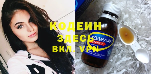 хмурый Арсеньев