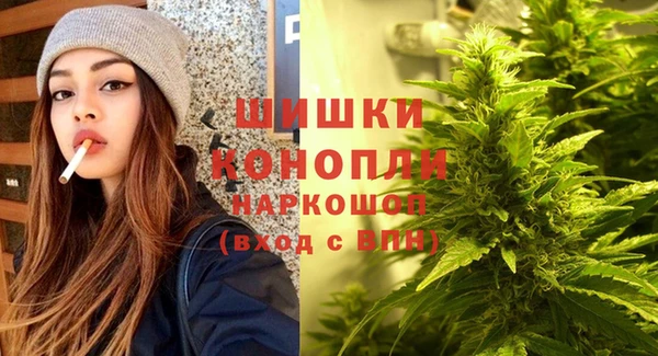 хмурый Арсеньев