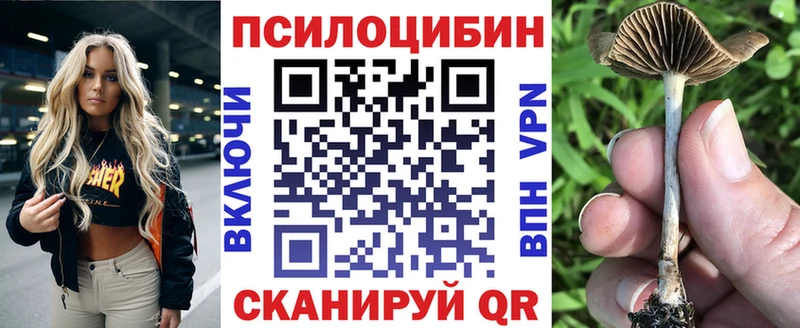 Псилоцибиновые грибы Cubensis  нарко площадка Telegram  ОМГ ОМГ как войти  Новошахтинск  наркотики 