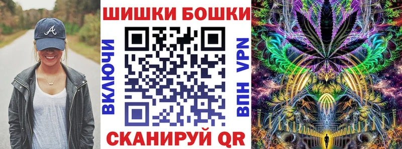 купить наркоту  кракен маркетплейс  Конопля сатива  Новошахтинск 